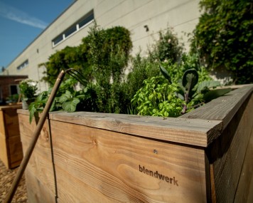 Urban Gardening